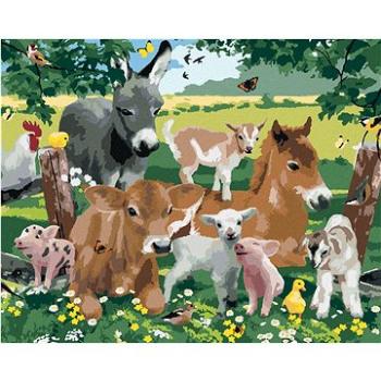 Maľovanie podľa čísel – Zvieratá na farme (Howard Robinson) (HRAbz33446nad)