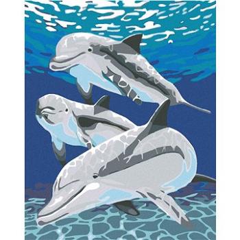 Maľovanie podľa čísel – Delfín s rodinkou (HRAmal00798nad)