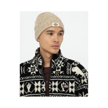 Dickies  Hoxie beanie  Čiapky Béžová