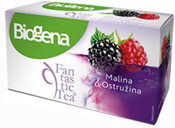 Biogena Fantastic Tea Malina & Ostružina ovocný čaj 20 x 2.2 g