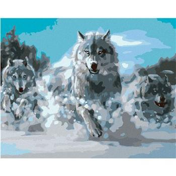 Maľovanie podľa čísel – Bežiaci vlci (HRAmal01040nad)