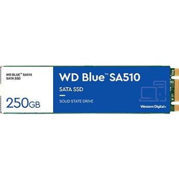 WD Blue SA510 SATA 250 GB M.2 (WDS250G3B0B)