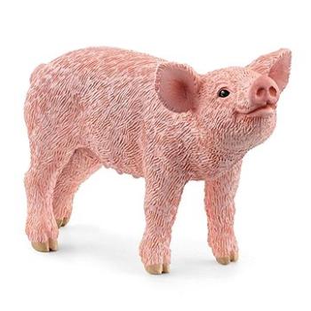 Schleich 13934 Zvieratko – prasiatko (4059433692241)