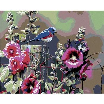 Maľovanie podľa čísel – Kvitnúci ibištek (HRAmal00169nad)