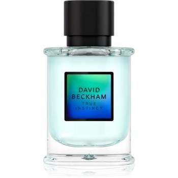 David Beckham True Instinct parfumovaná voda pre mužov 50 ml