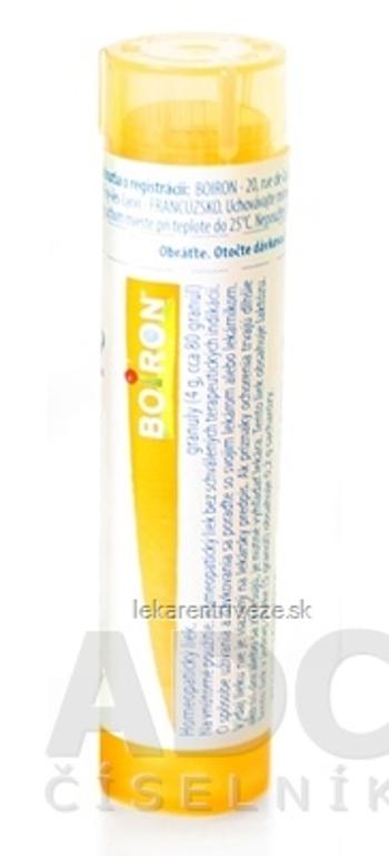 ARSENICUM IODATUM GRA HOM CH15 1x4 g