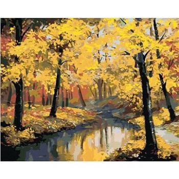 Maľovanie podľa čísel – Jesenný les a rieka (HRAbz33550nad)