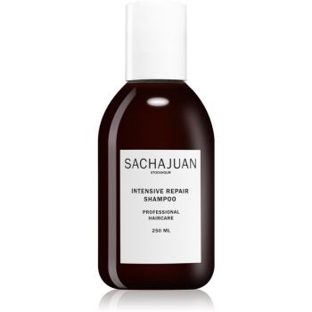 Sachajuan Intensive Repair Shampoo šampón pre poškodené a slnkom namáhané vlasy 250 ml