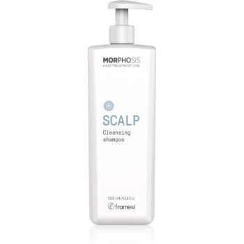 Framesi Morphosis Scalp hĺbkovo čistiaci šampón 1000 ml