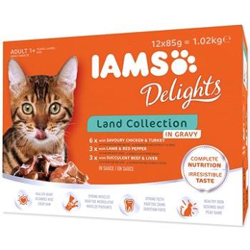 IAMS Delights pre dospelé mačky s hydinovým, jahňacím a hovädzím mäsom v omáčke 12× 85 g (8710255100418)