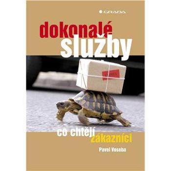 Dokonalé služby (80-247-0847-7)