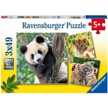 Ravensburger Puzzle 056668 Panda, Tiger a Lev 3X49 Dielikov (4005556056668)