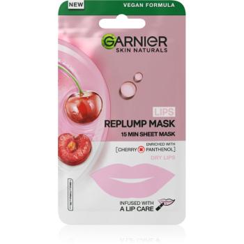 Garnier Skin Naturals Lips Replump Mask vyplňujúca maska na pery 5 g