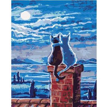 Maľovanie podľa čísel – Mačky na streche a mesiac (HRAbz33425nad)