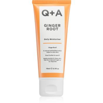 Q+A Ginger Root intenzívny hydratačný krém 75 ml