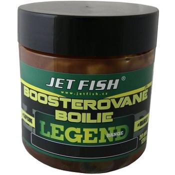 Jet Fish Boosterované boilie Legend Seafood + Slivka/Cesnak 20 mm 120 g (JVR045264nad)