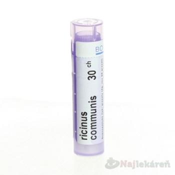 RICINUS COMMUNIS, GRA HOM CH30 4 g