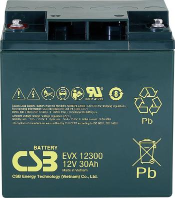 CSB Battery EVX 12300 EVX12300 olovený akumulátor 12 V 30 Ah olovený so skleneným rúnom (š x v x h) 166 x 175 x 125 mm s