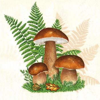 Servítky na dekupáž Boletus with Leaves of Fern - 1 ks