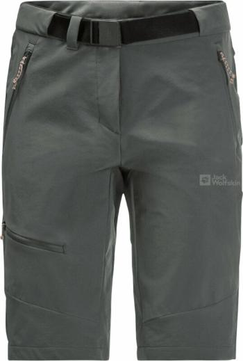 Jack Wolfskin Outdoorové šortky Ziegspitz Shorts W Slate Green S/M