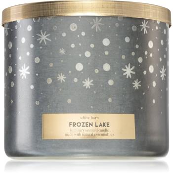 Bath & Body Works Frozen Lake vonná sviečka 411 g