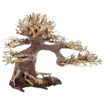 Dupla Bonsai S prírodná drevená dekorácia 20 × 10 × 15 cm (D79012)