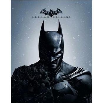 Batman: Arkham Origins – PC DIGITAL (1471279)