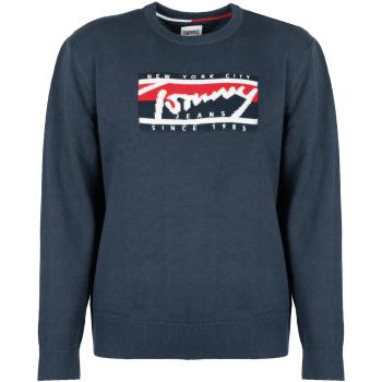 Tommy Hilfiger  DM0DM13045  Svetre Modrá