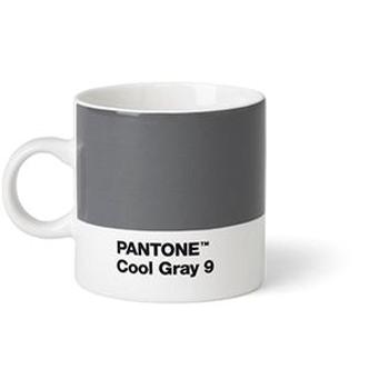 PANTONE Espresso - Cool Gray 9, 120 ml (101040009)