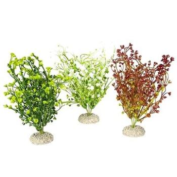 Ebi Aqua Della Bacopa M mix farieb 25 cm 1 ks (4047059458167)