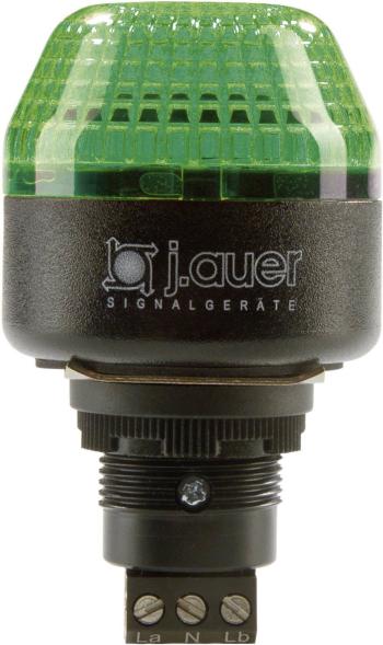 Auer Signalgeräte signalizačné osvetlenie LED IBM 801506405 zelená  trvalé svetlo, blikajúce 24 V/DC, 24 V/AC
