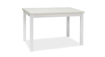 Signal Jedálenský stôl ADAM | 100 x 60 cm Farba: biely mat