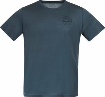 Bergans Graphic Wool Tee Men Orion Blue XL