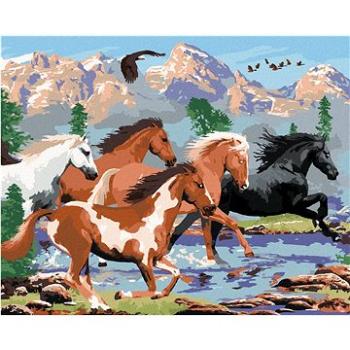 Maľovanie podľa čísel – Divoké kone v horách (Howard Robinson) (HRAbz33412nad)