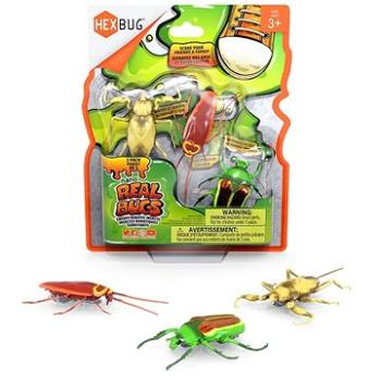 Hexbug Real Bugs – 3 Pack (807648078015)