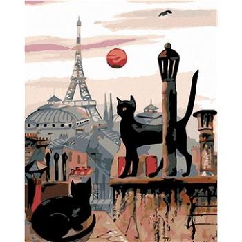 Maľovanie podľa čísel – Čierne mačky a Eiffelovka v diaľke (HRAmal01137nad)