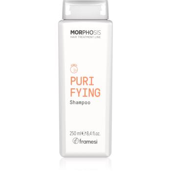 Framesi Morphosis Purifying čistiaci šampón proti lupinám 250 ml