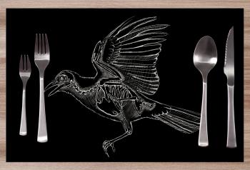 Prestieranie Bird skeleton