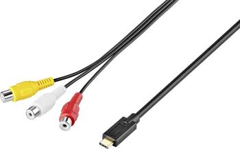 SpeaKa Professional AV konvertor  [USB - cinch] 648 x 480 Pixel