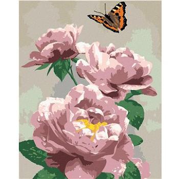 Maľovanie podľa čísel – Motýľ a ružové ruže (Howard Robinson) (HRAbz33447nad)