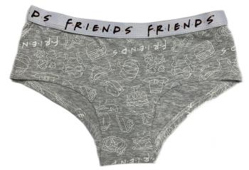 EPlus Dievčenské spodné prádlo Friends - Priatelia sivé Veľkosť - deti: 146/152