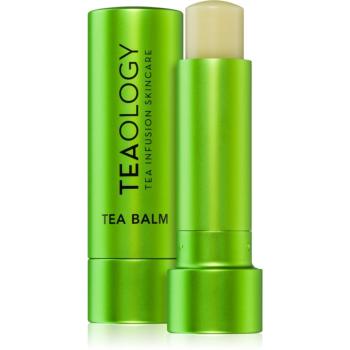 Teaology Tea Balm hydratačný balzam na pery v tyčinke odtieň Matcha Tea 4 g