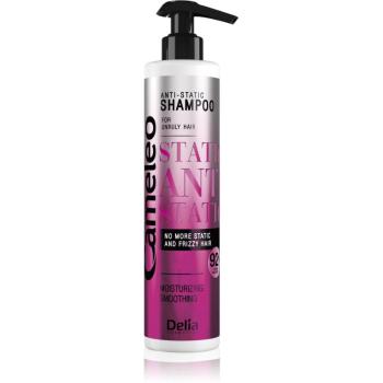 Delia Cosmetics Cameleo Anti Static vyhladzujúci šampón 250 ml