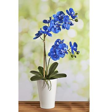 Magnet 3Pagen Modrá orchidea