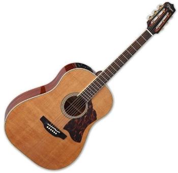 Takamine CRN-TS1 Natural