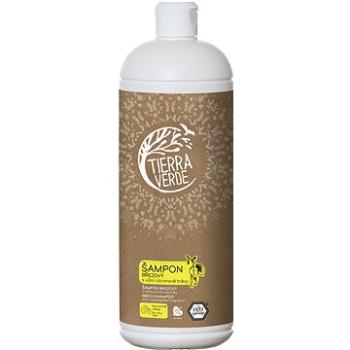 TIERRA VERDE Šampón Brezový s vôňou citrónovej trávy 1000 ml (8594165001177)