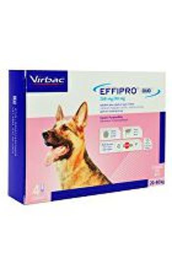 Effipro DUO Dog L (20-40 kg) 268/80 mg, 4x2,68 ml VÝPREDAJ