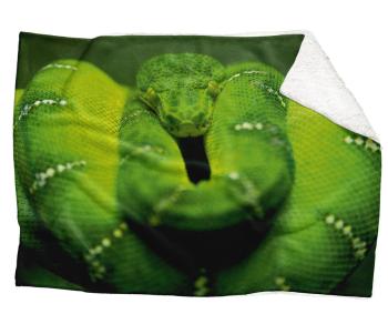 Deka Zelený had  (Rozmer: 200 x 140 cm, Podšitie baránkom: ÁNO)