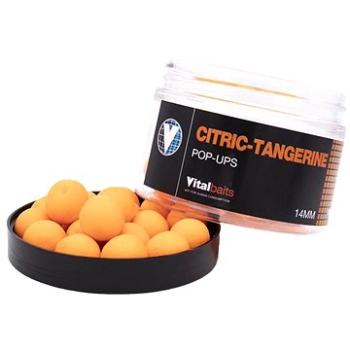 Vitalbaits Pop-Up Citric-Tangerine 18 mm 50 g (2082019001214)