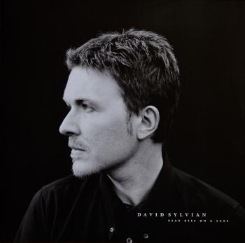 Universal Music David Sylvian – Dead Bees On A Cake